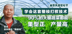 90%Ĵ߲˶ܹ 