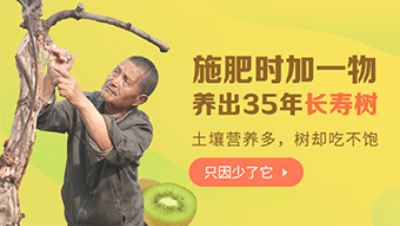 ʩʱһ34곤